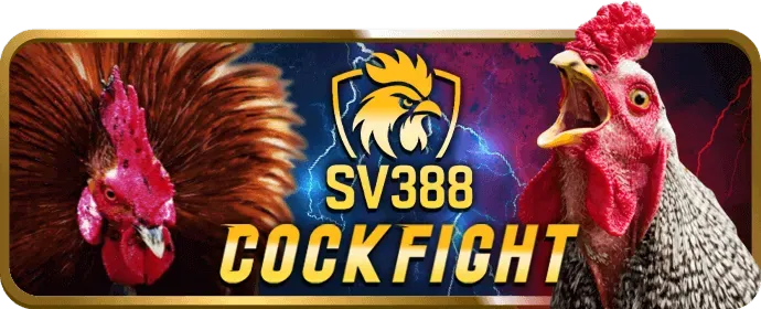 Chiến thuật chơi game bài m99 hiệu quả