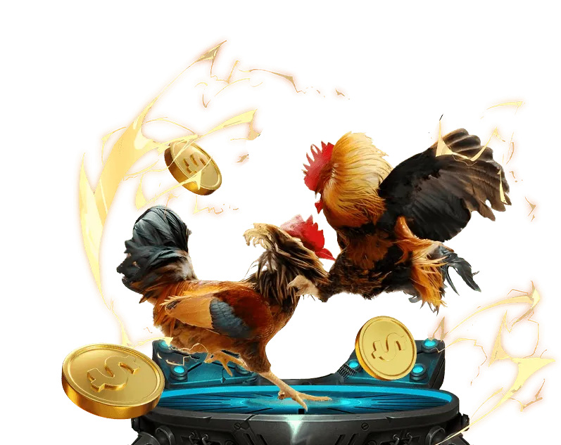 Người chơi đang phân tích chiến lược cá cược